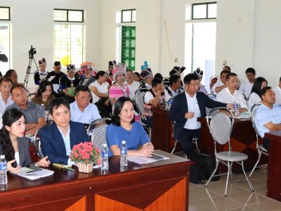 Tỏi Sanuki bén duyên rẻo cao Kỳ Sơn
