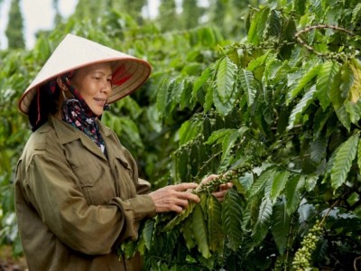 Việt Nam có thể trở thành trung tâm sản xuất thực phẩm và đồ uống đóng gói cho cả thế giới