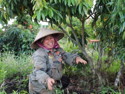 Cây ăn quả, trụ cột mới của nông nghiệp Đắk Nông